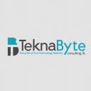 TeknaByte Consulting logo
